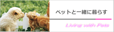 ペットと一緒に暮らす物件